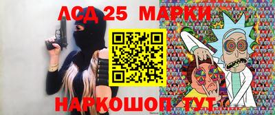spice Гатчина