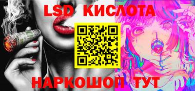 spice Гатчина