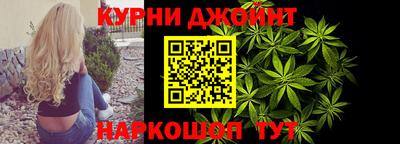 spice Гатчина