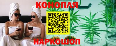 spice Гатчина
