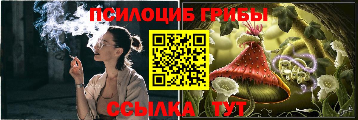 Галлюциногенные грибы GOLDEN TEACHER  Вход с VPN  Туймазы 